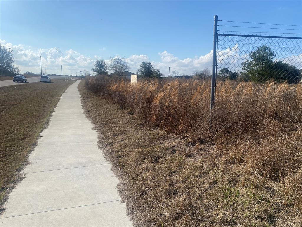 241 Chestnut Road Ocala, FL 34480 - Photo 3 of 3 a view of a yard
