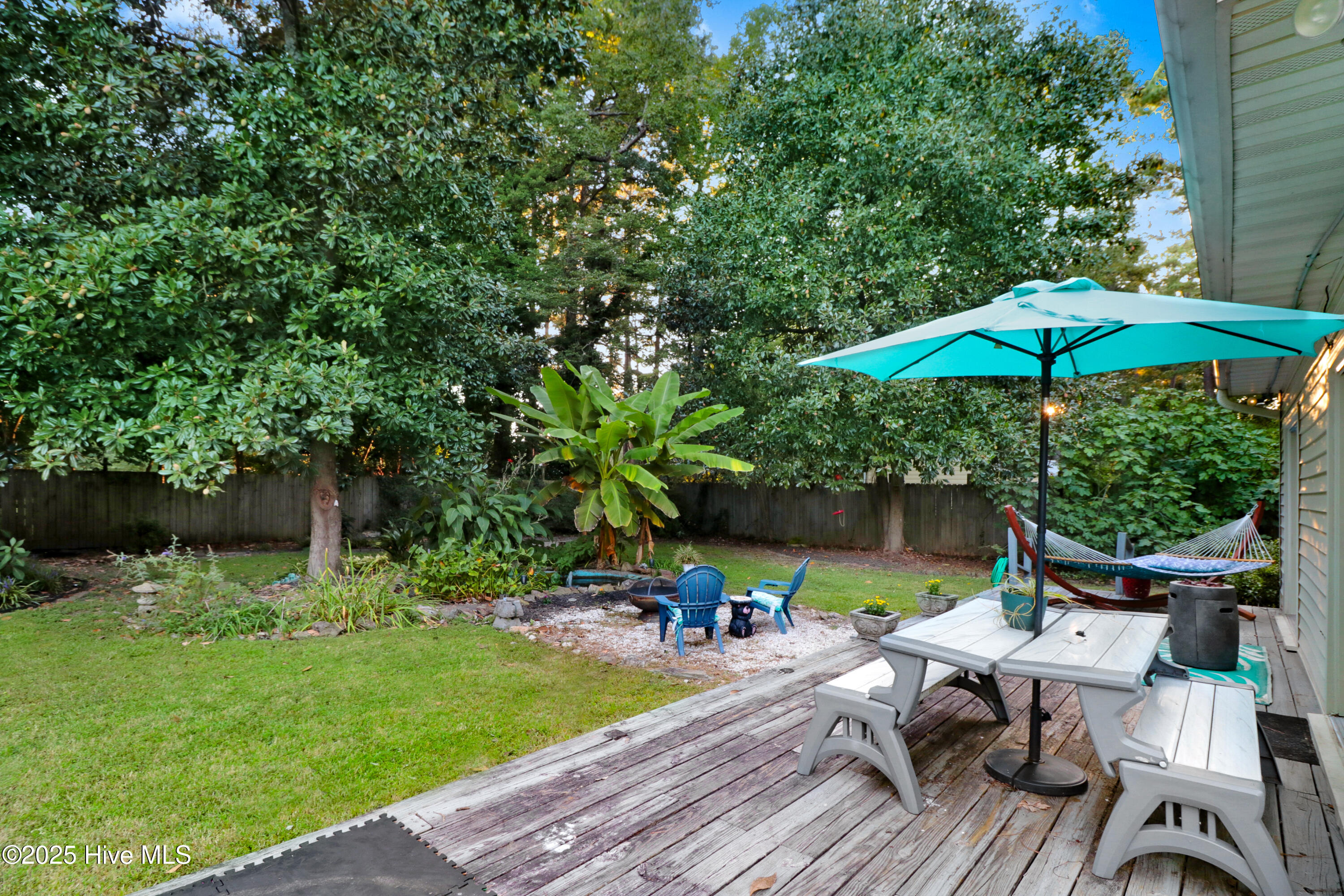 1011 Oak Forest Drive Northwest Wilson, NC 27896 - Photo 43 of 48 1011 Oak Forest Back Yard 1