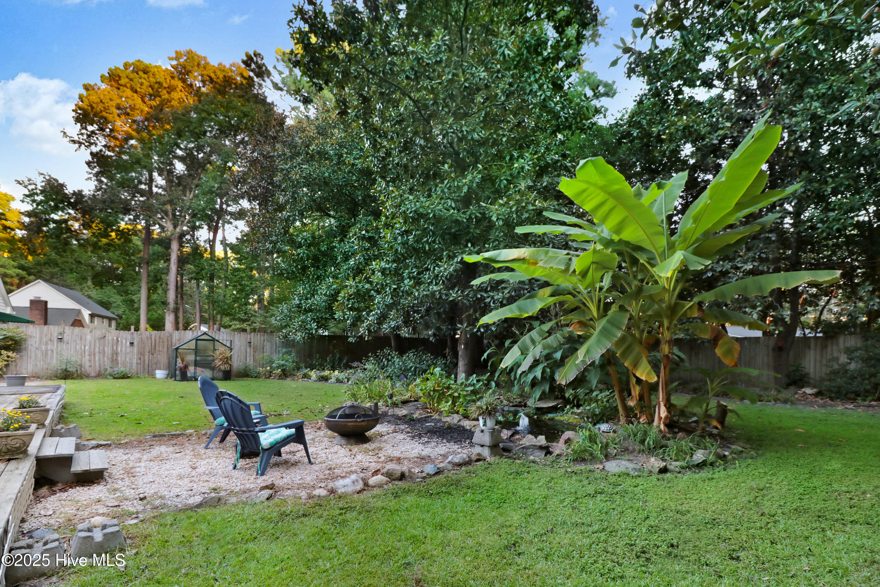 1011 Oak Forest Drive Northwest Wilson, NC 27896 - Photo 45 of 48 1011 Oak Forest Back yard 3