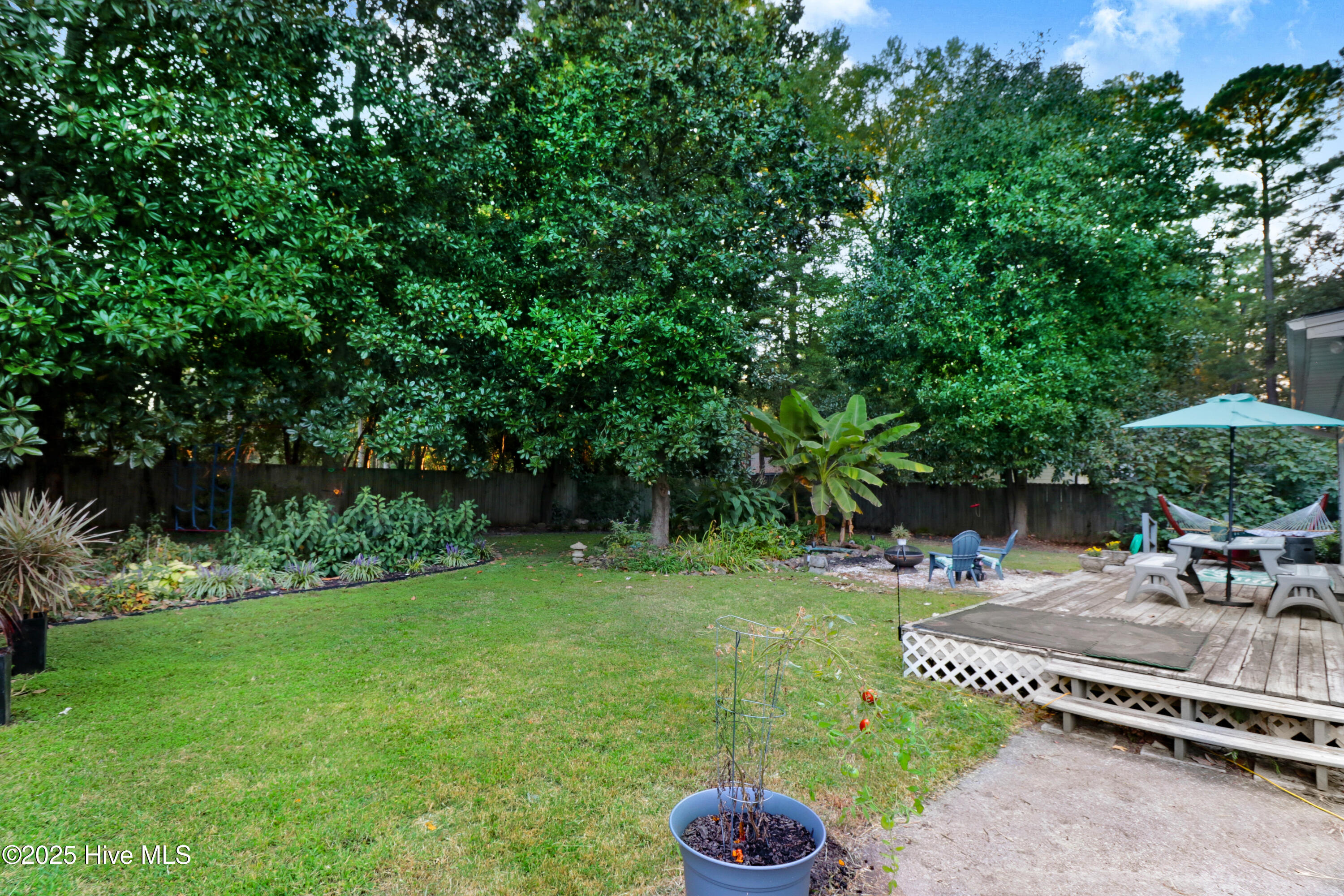 1011 Oak Forest Drive Northwest Wilson, NC 27896 - Photo 46 of 48 1011 Oak Forest Back Yard