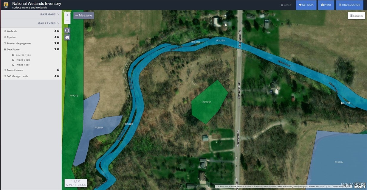 620 Pavement Road Lancaster, NY 14086 - Photo 3 of 10 Showing the wetland area.