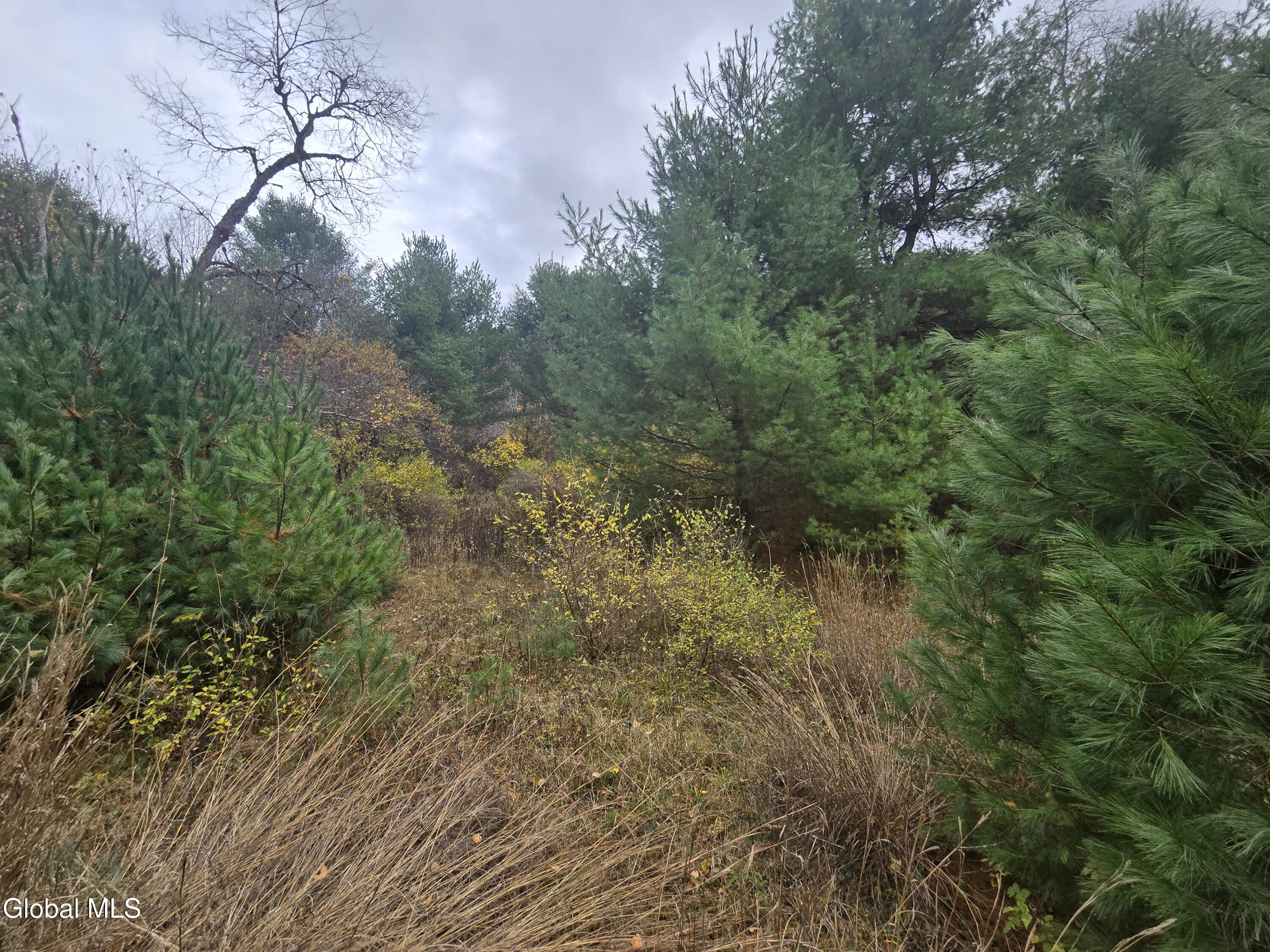 359 Creek Road Hope, NY 12134 - Photo 7 of 12 1000032152