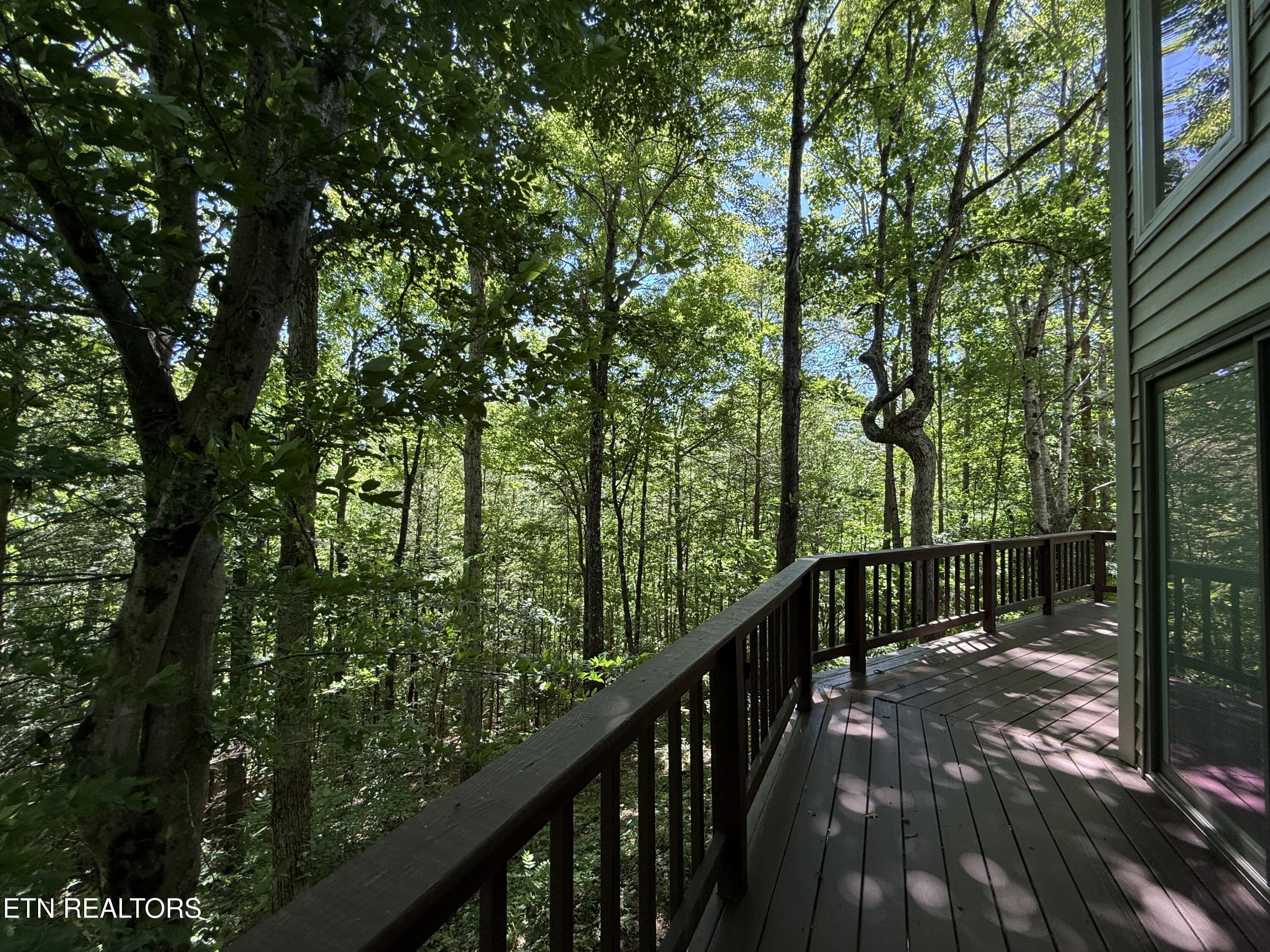 4039 Barb Hollow Road Walland, TN 37886 - Photo 39 of 46 Deck2