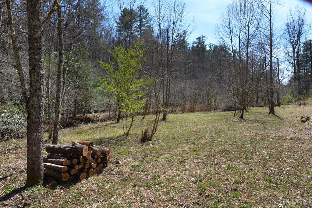 798 Sassafras Gap Road Highlands, NC 28741 - Photo 8 of 20 Gallery Image 8