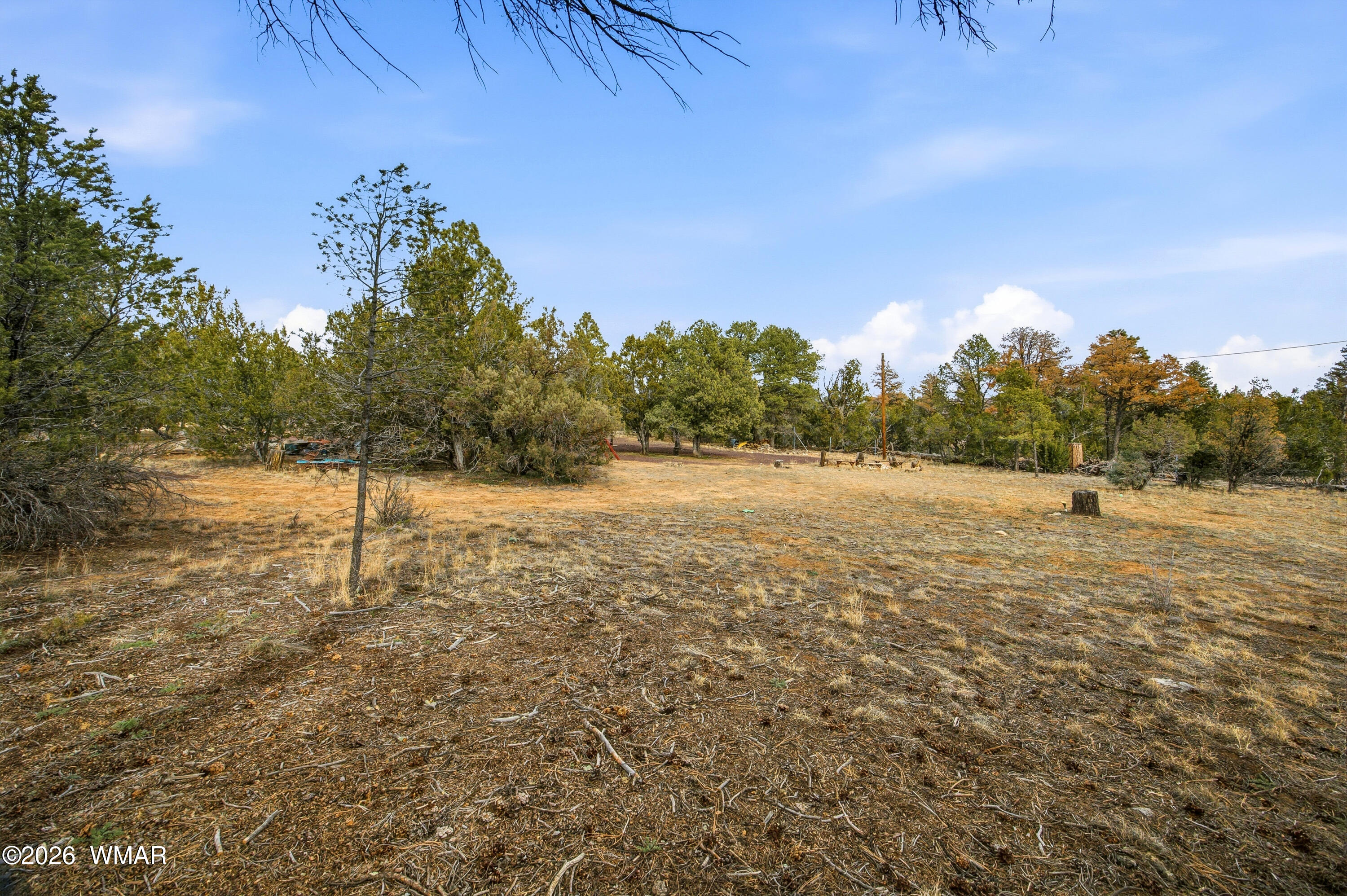3113 Whitetail Way Overgaard, AZ 85933 - Photo 25 of 32 3113WhitetailWay-HeberOvergaard-AZ-25