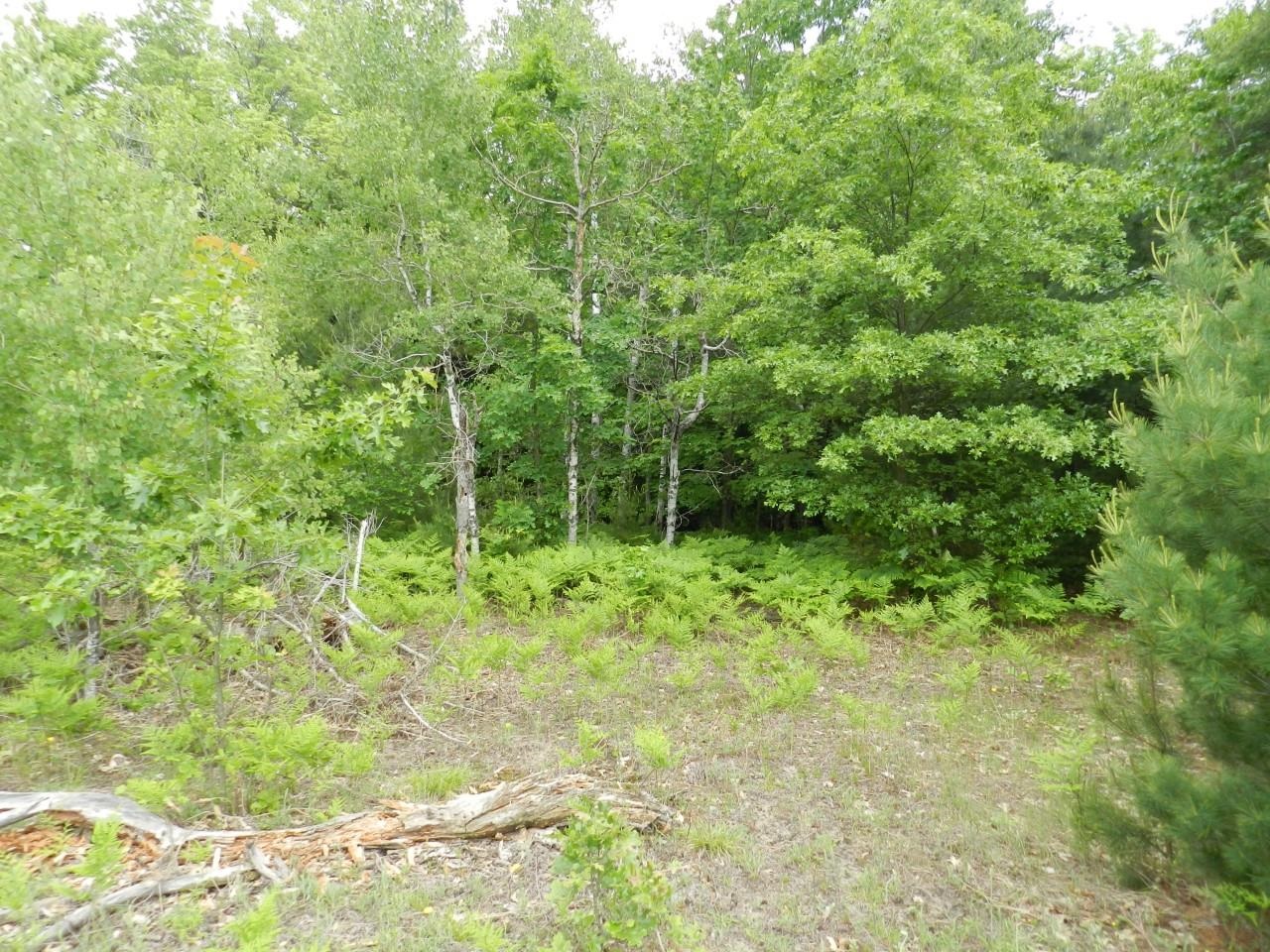 0 Riley Whitehall, MI 49461 - Photo 9 of 26