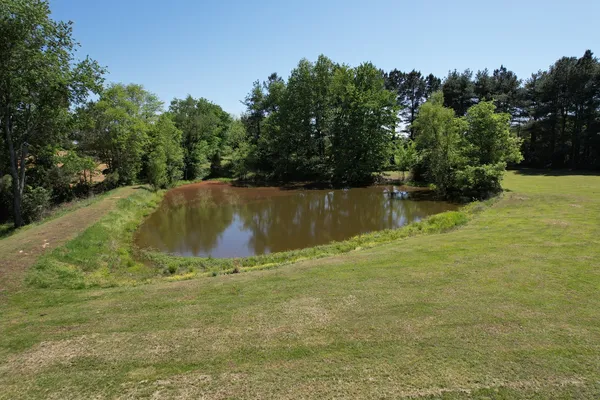 a view of a water pond with green space