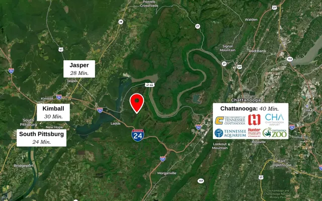 a view of backyard with trees