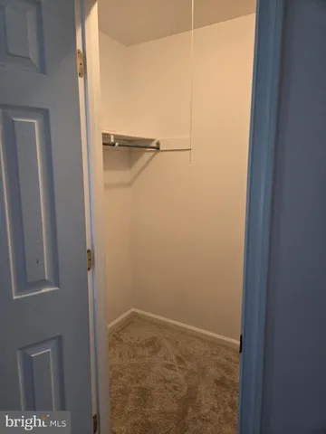 a bathroom with a shower and a sink