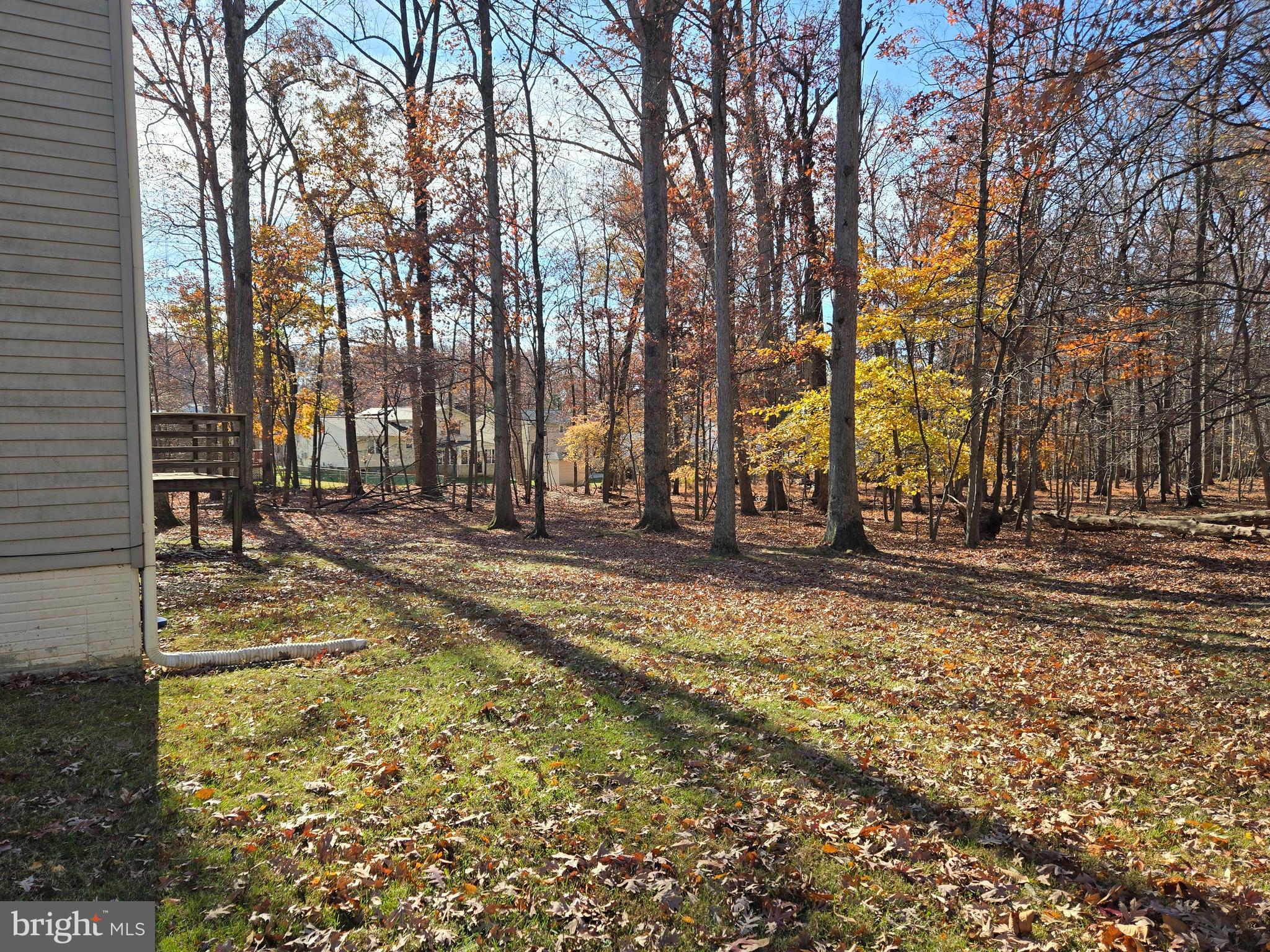 6801 Upper Mills Circle Baltimore, MD 21228 - Photo 40 of 40 a view of park with tree