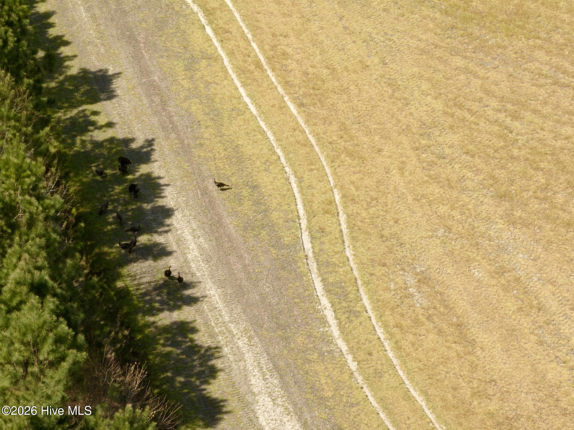 0 Medical Center Road Gates, NC 27937 - Photo 7 of 23 7