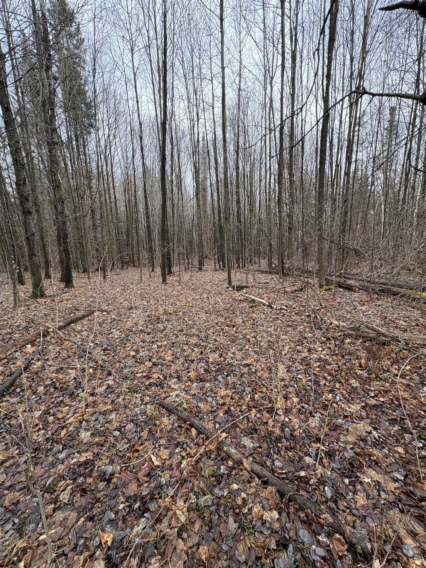 Partridge Lane Danville, VT 05828 - Photo 11 of 19