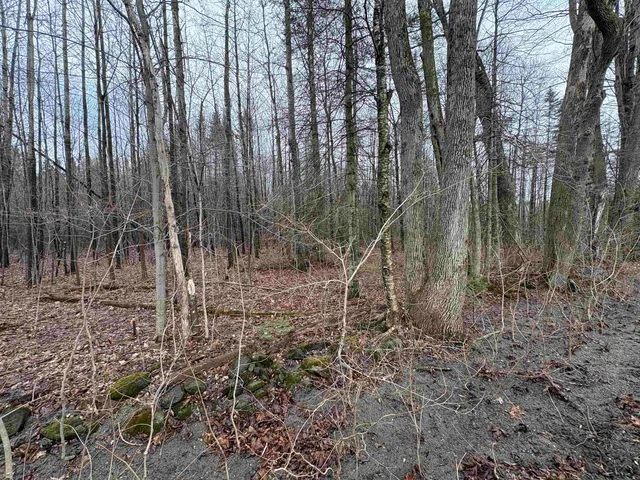 $79,000 | Partridge Lane, Danville, VT 05828