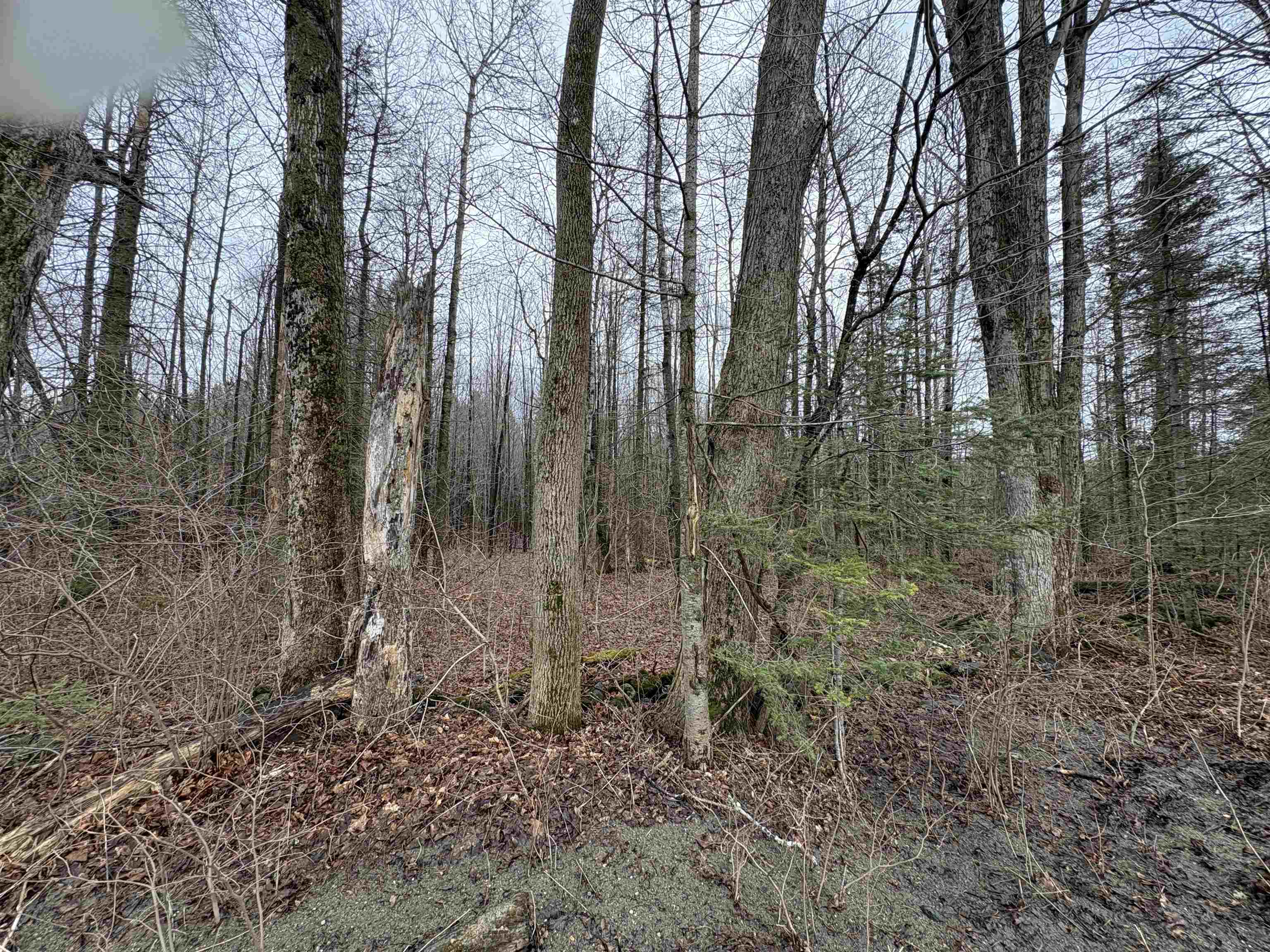 Partridge Lane Danville, VT 05828 - Photo 13 of 19