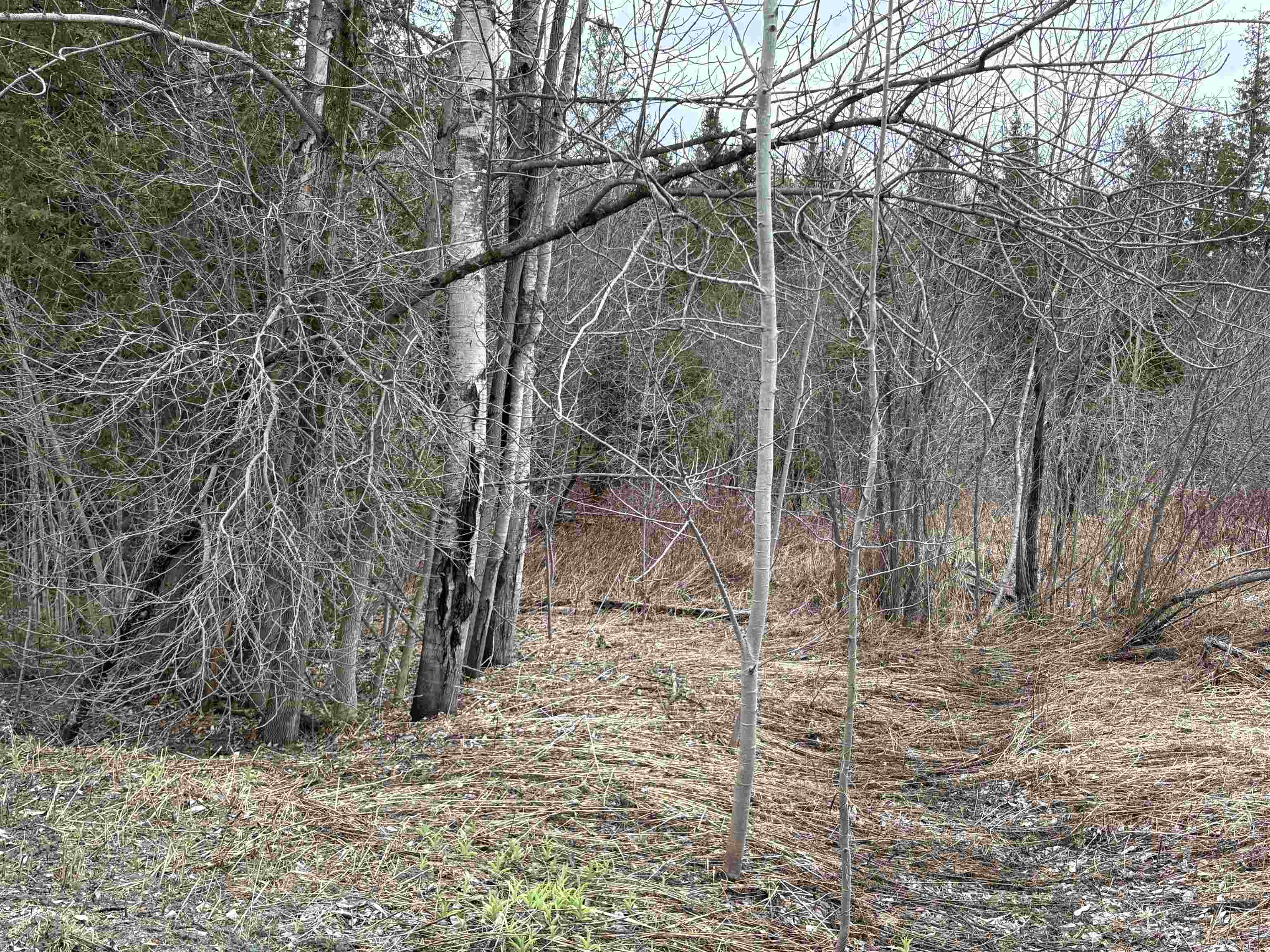 Partridge Lane Danville, VT 05828 - Photo 15 of 19