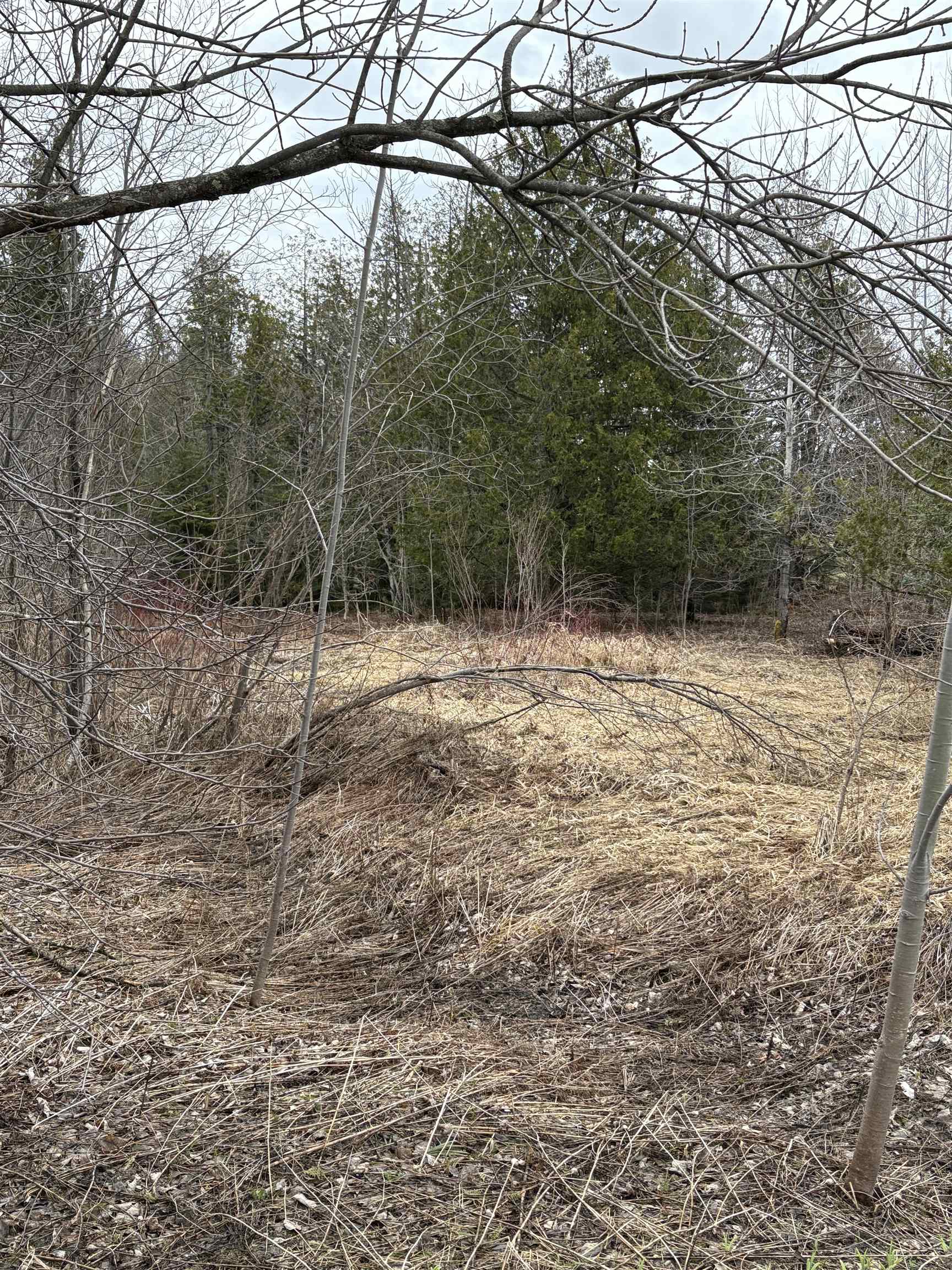 Partridge Lane Danville, VT 05828 - Photo 16 of 19