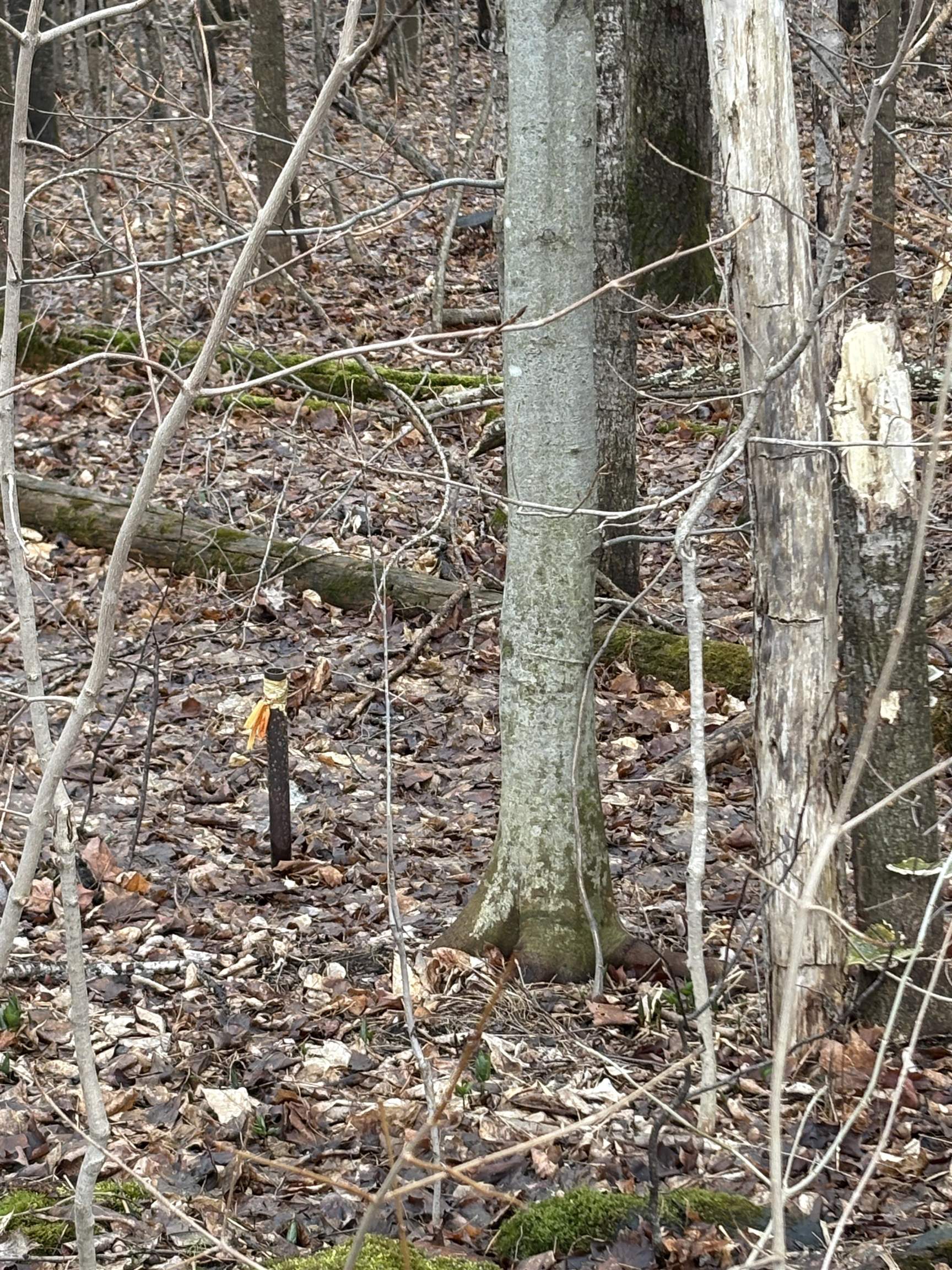 Partridge Lane Danville, VT 05828 - Photo 17 of 19