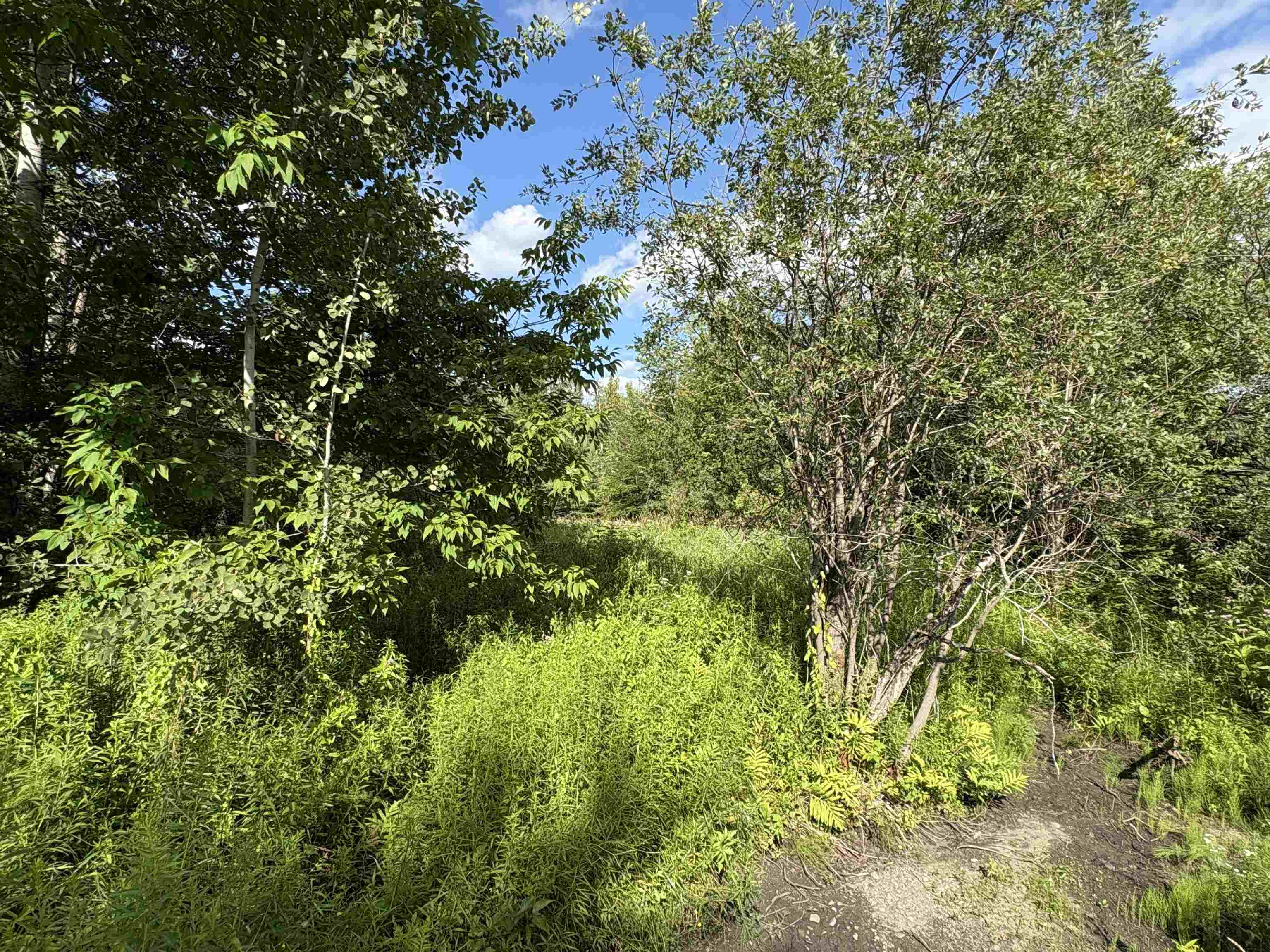 Partridge Lane Danville, VT 05828 - Photo 2 of 19