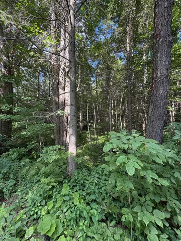 $79,000 | Partridge Lane, Danville, VT 05828