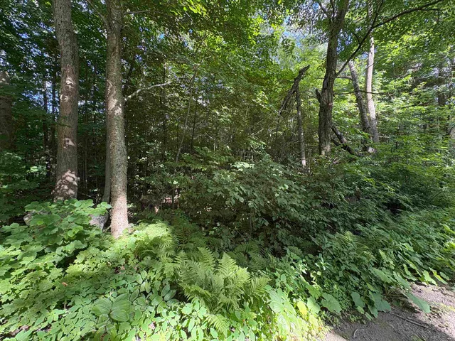 $79,000 | Partridge Lane, Danville, VT 05828