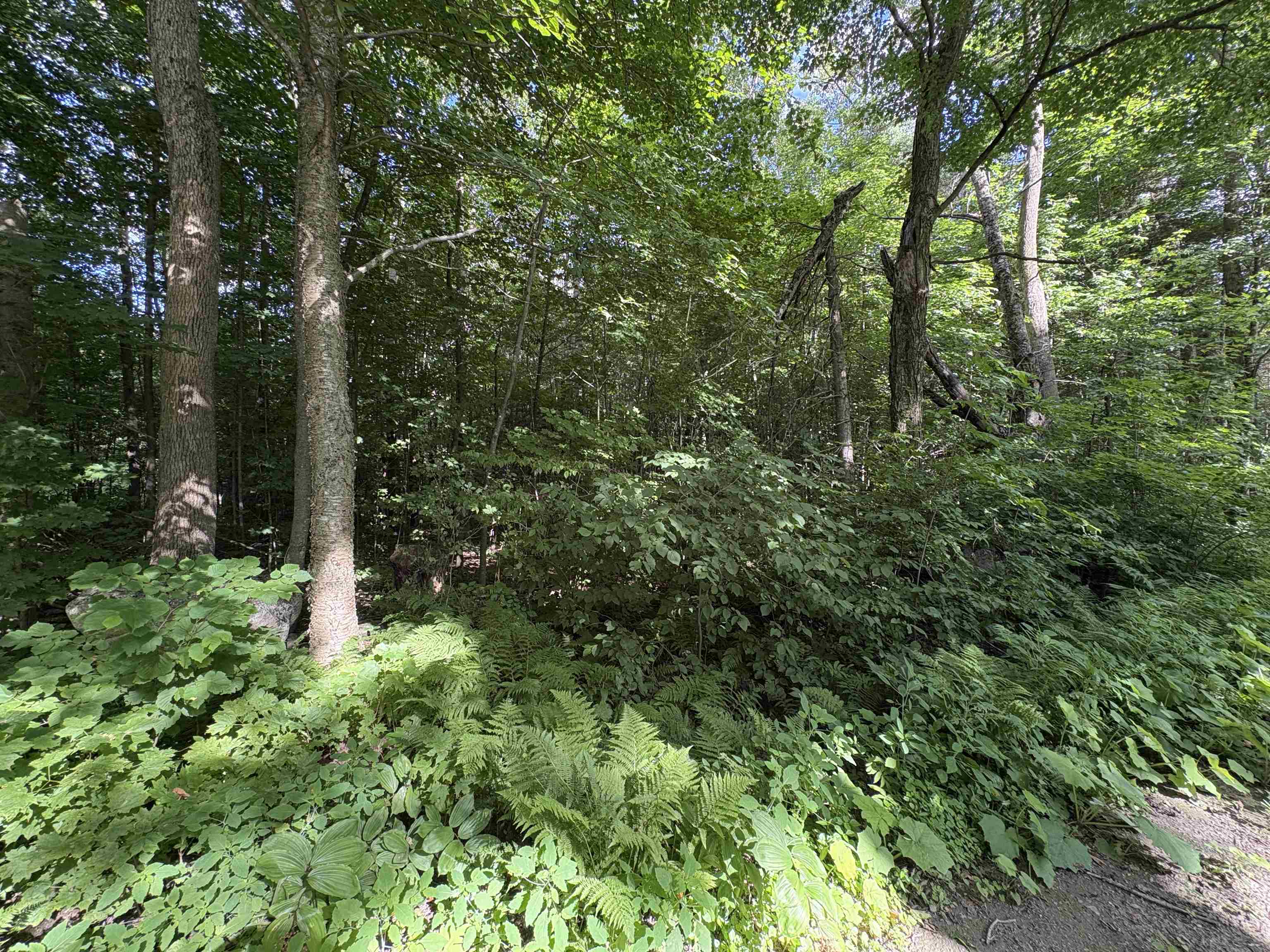 Partridge Lane Danville, VT 05828 - Photo 6 of 19