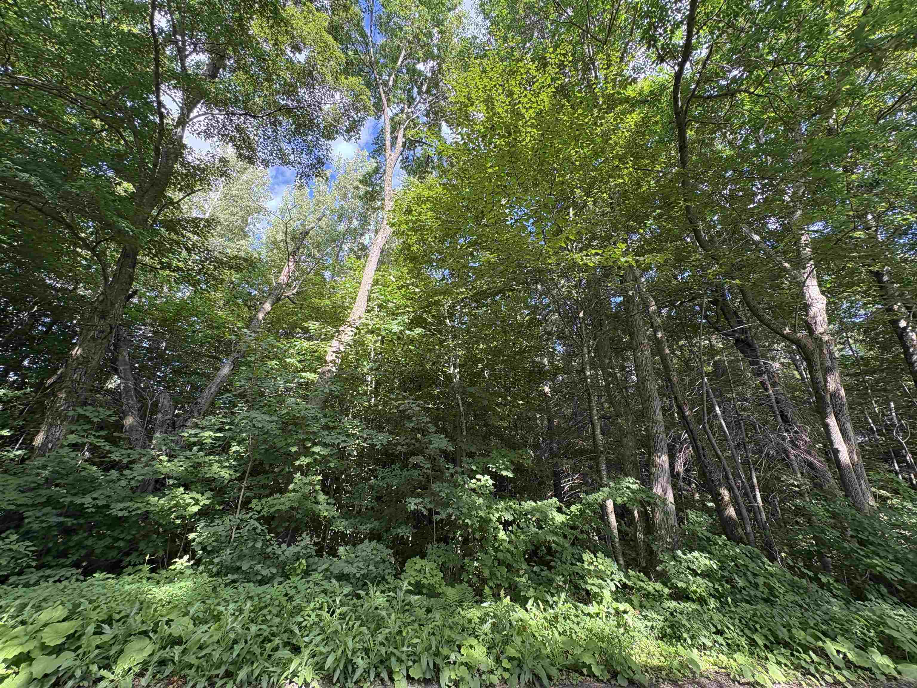 Partridge Lane Danville, VT 05828 - Photo 7 of 19