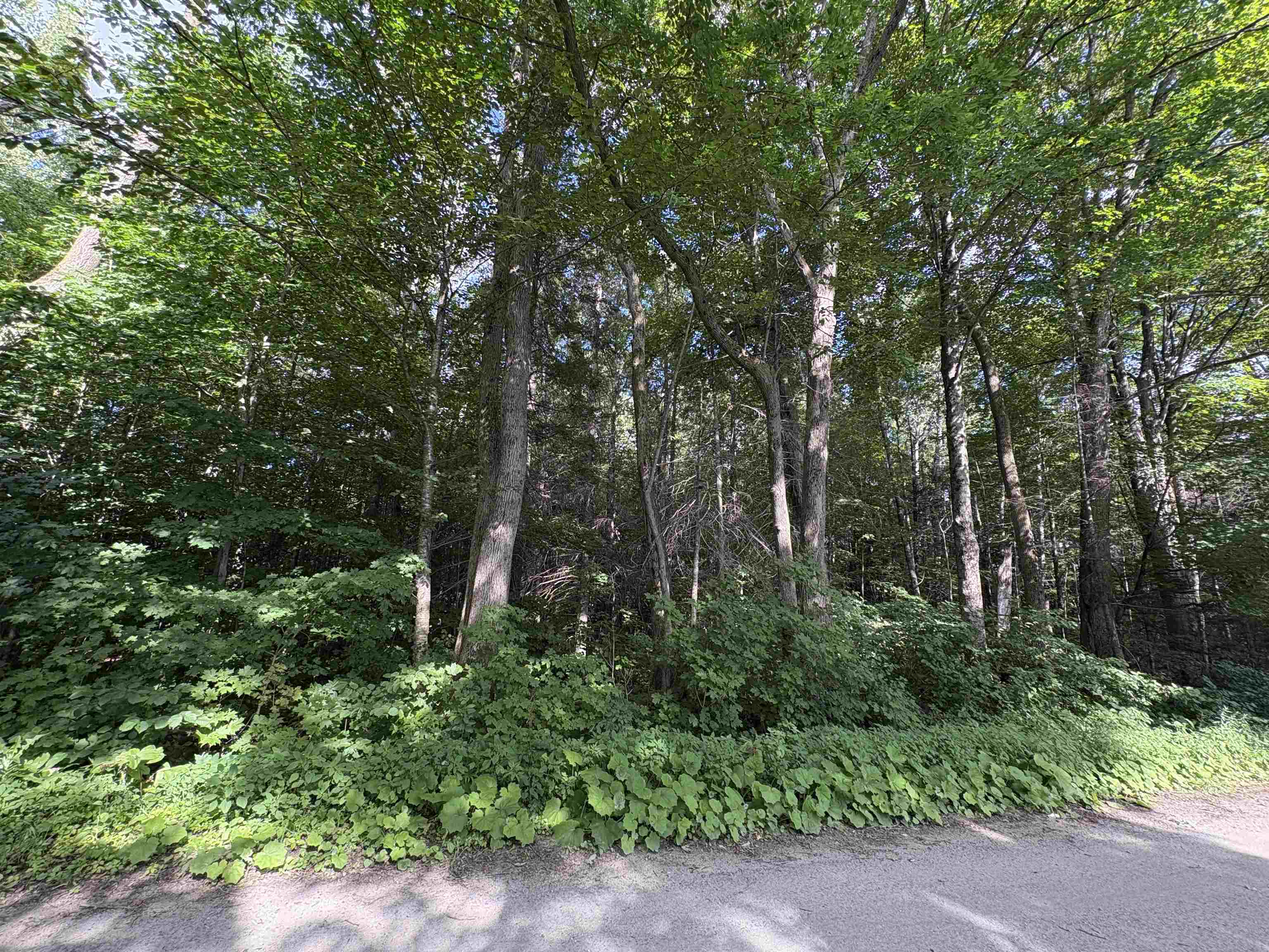 Partridge Lane Danville, VT 05828 - Photo 8 of 19