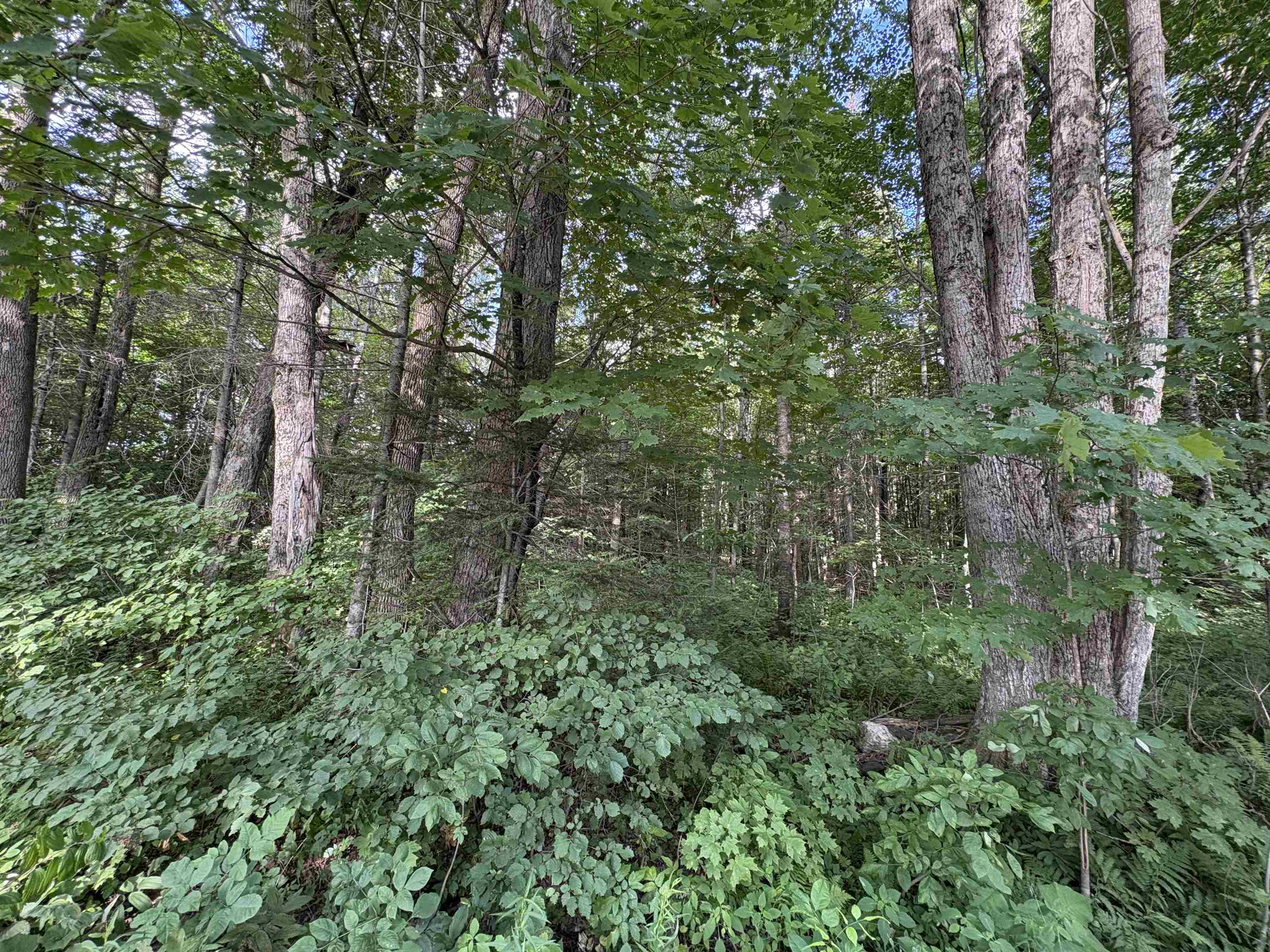 Partridge Lane Danville, VT 05828 - Photo 9 of 19