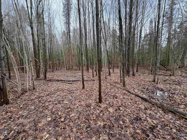 $79,000 | Partridge Lane, Danville, VT 05828