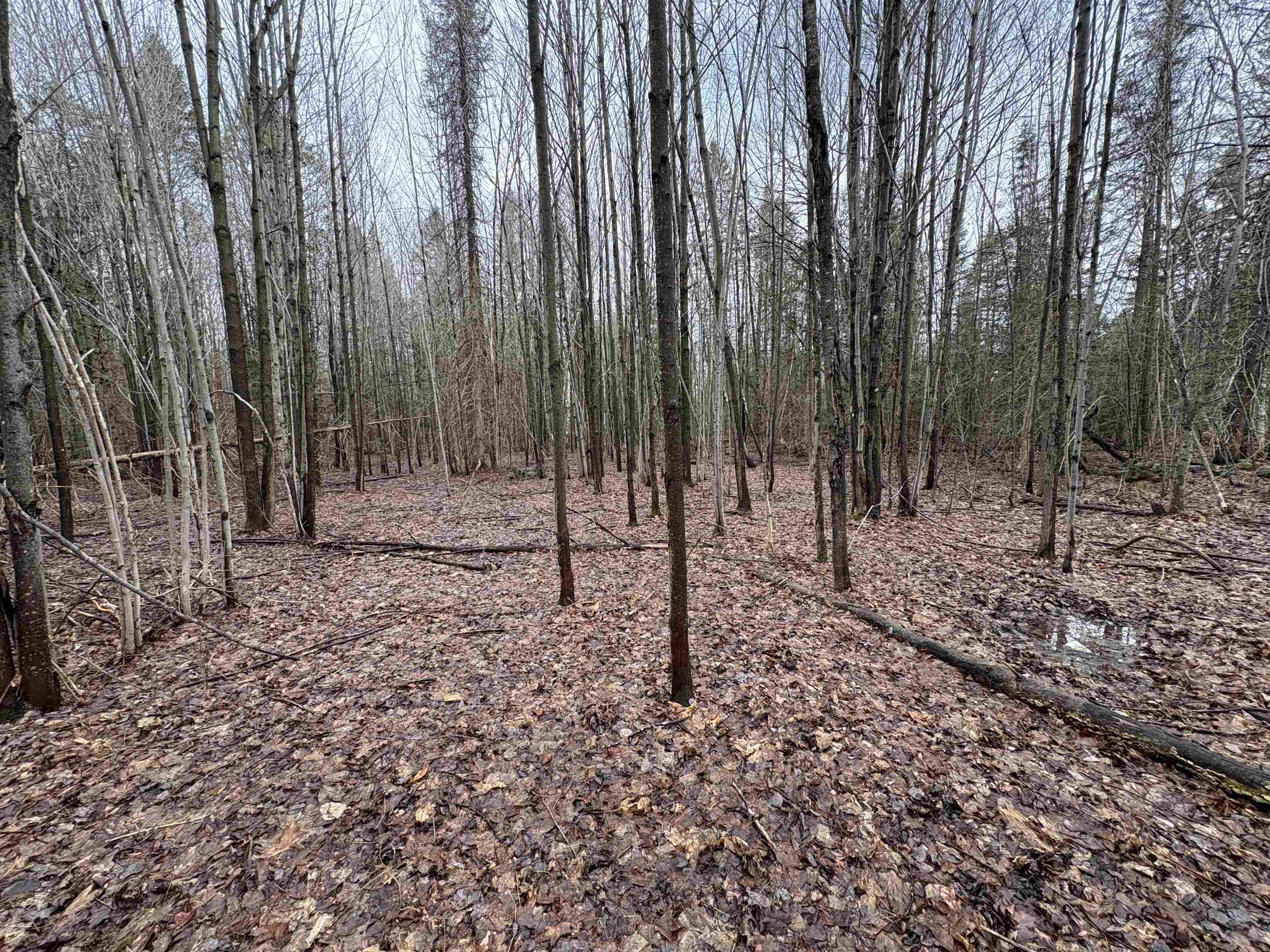 Partridge Lane Danville, VT 05828 - Photo 10 of 19