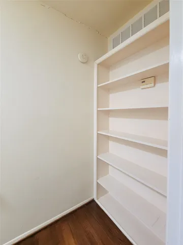 a view of a garden with plants