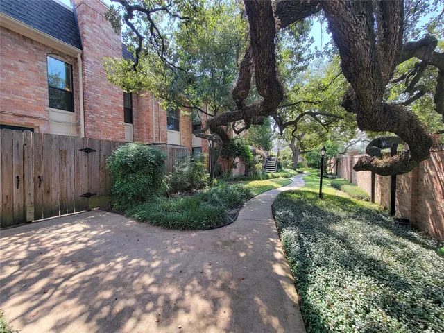 a view of a yard with plants and a large tree
