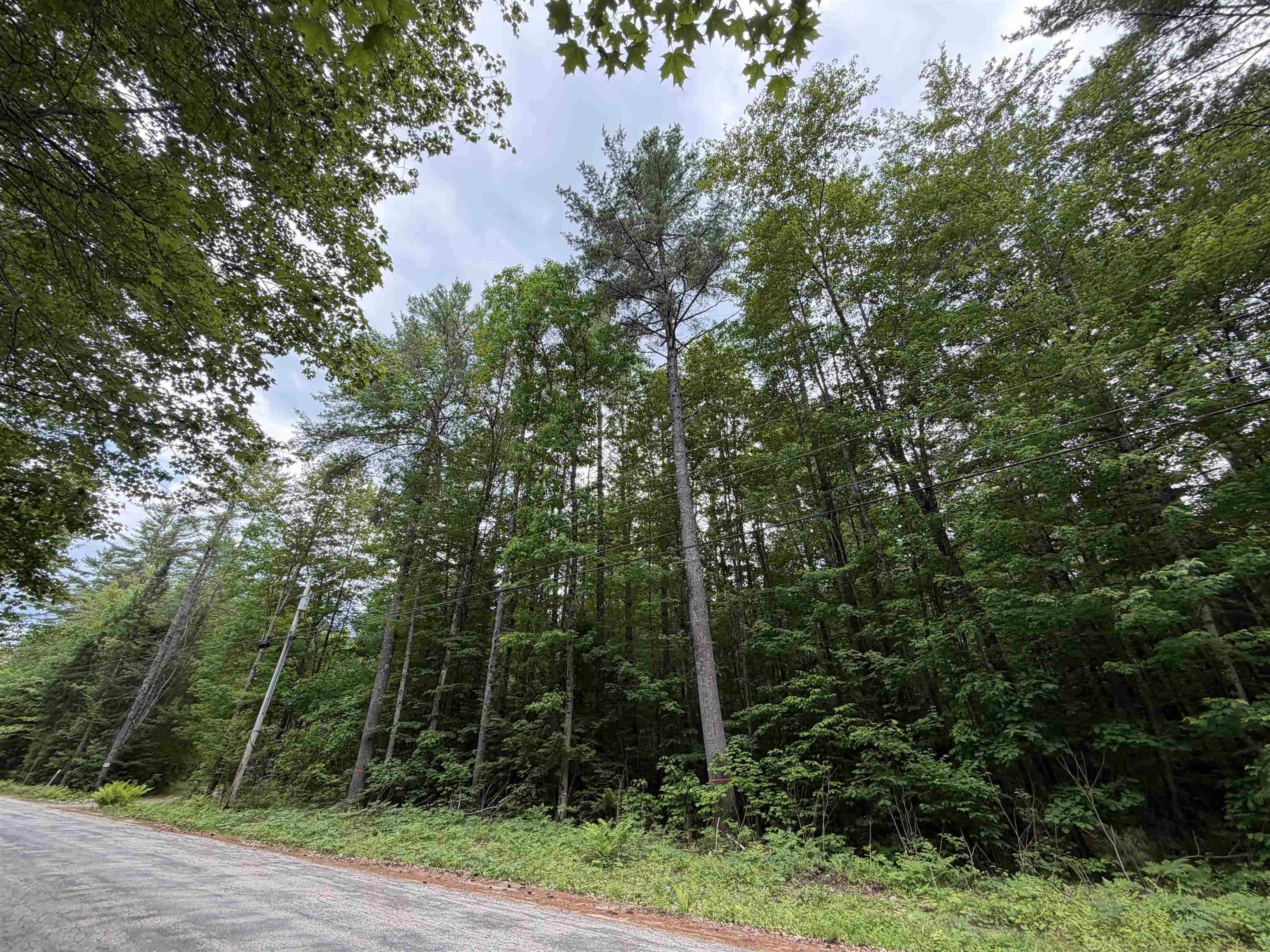 0 Rolling Ridge Road Bartlett, NH 03812 - Photo 2 of 6