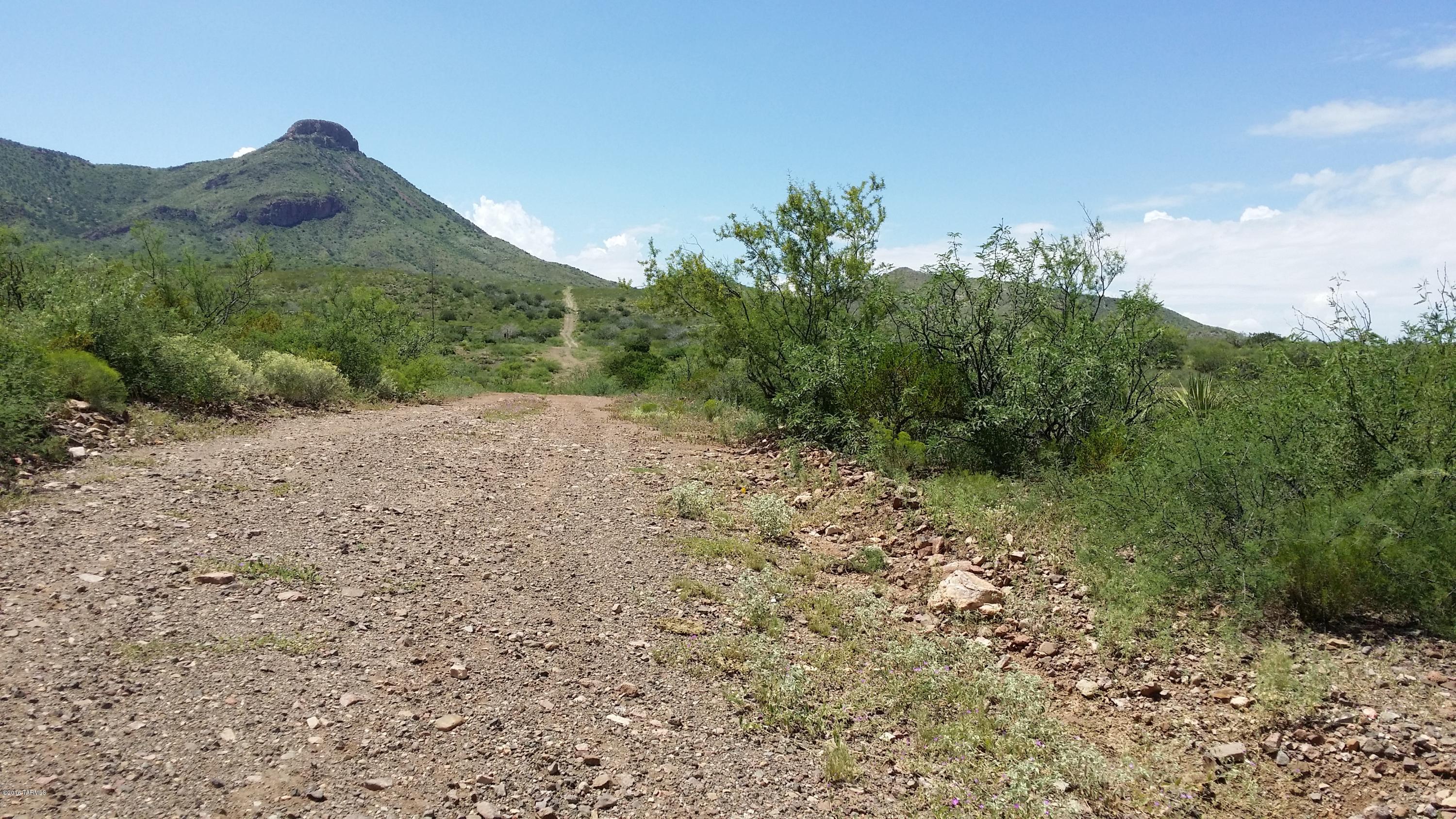 27.084-ac North Silver Creek Road Douglas, AZ 85607 - Photo 2 of 21