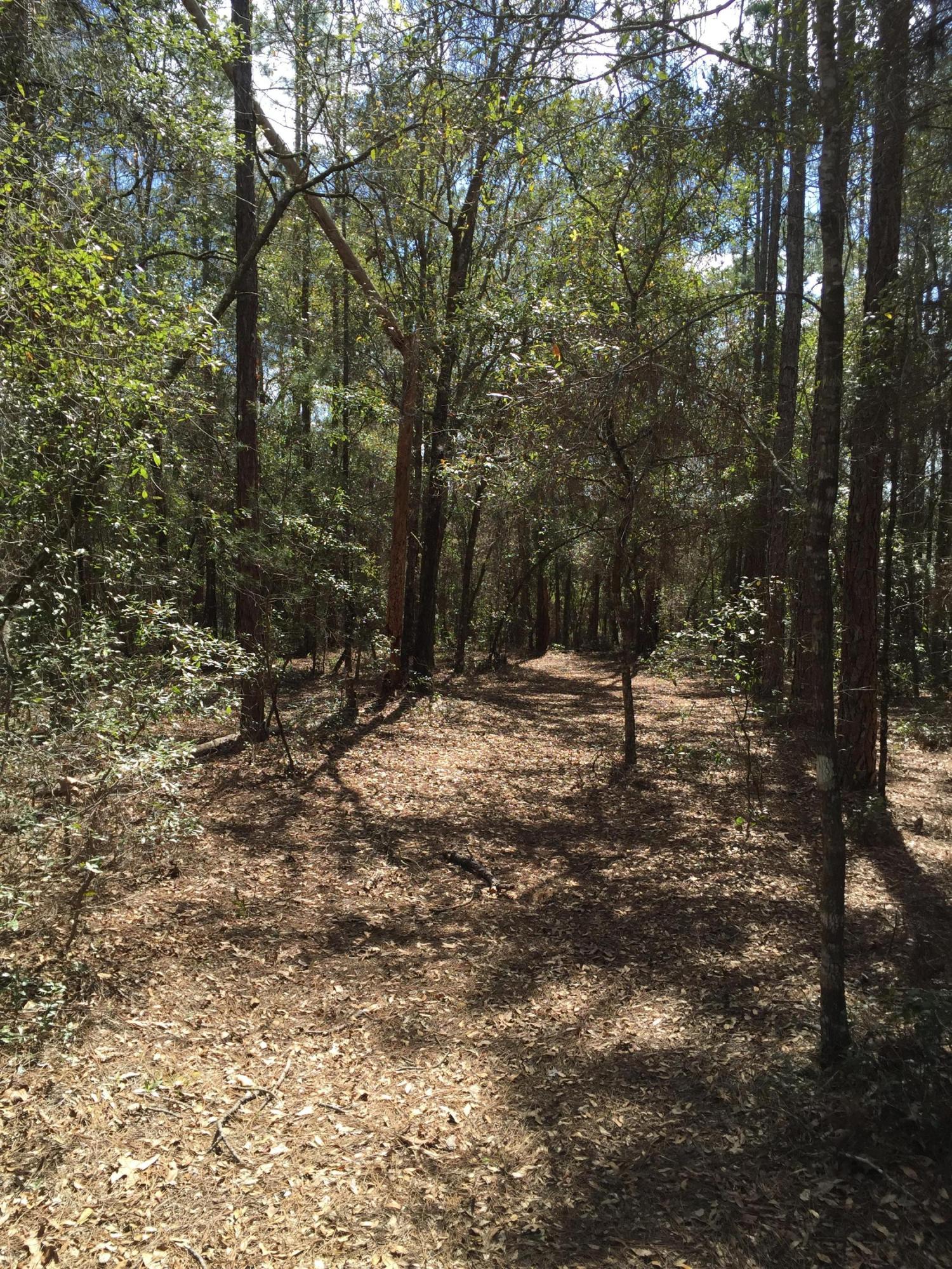 0 Gator Trail Melrose, FL 32666 - Photo 2 of 4 Nice wooded 1.08 acre lot
