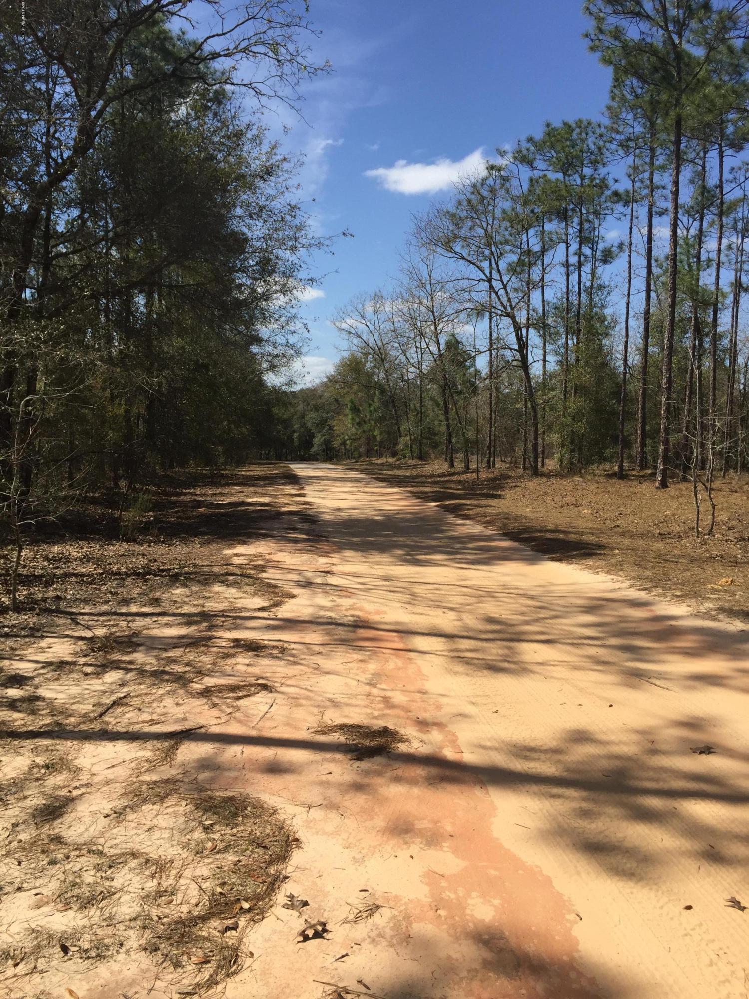 0 Gator Trail Melrose, FL 32666 - Photo 3 of 4 Road Frontage