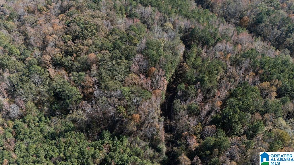 1122 Montevallo Road Centreville, AL 35042 - Photo 60 of 69