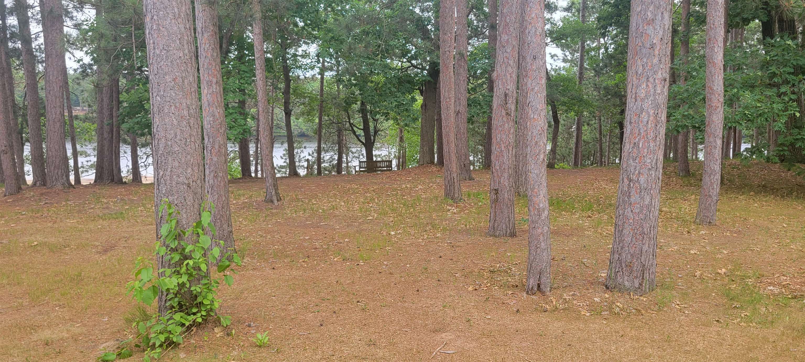 5 Oak Trail Wisconsin Dells, WI 53965 - Photo 4 of 23