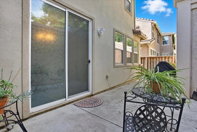 a potted plant in front of a glass door