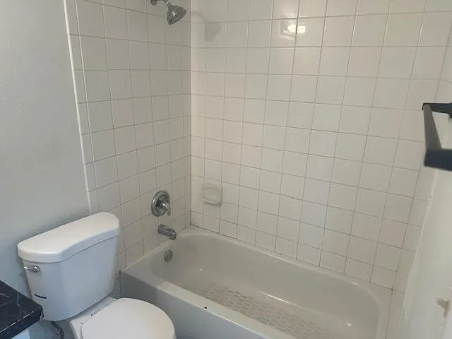 a bathroom with a toilet and bathtub