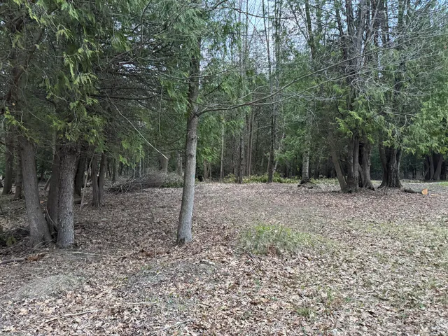 $264,900 | 264 South 30th Avenue, Sears, MI 49679