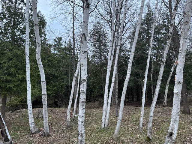 $264,900 | 264 South 30th Avenue, Sears, MI 49679