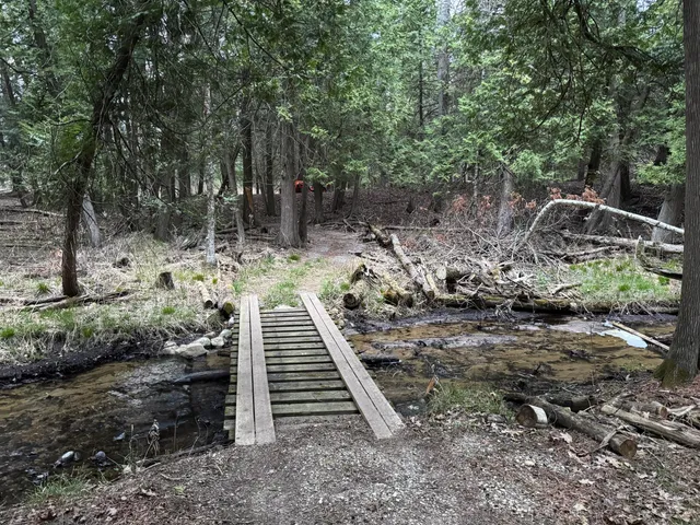 $264,900 | 264 South 30th Avenue, Sears, MI 49679