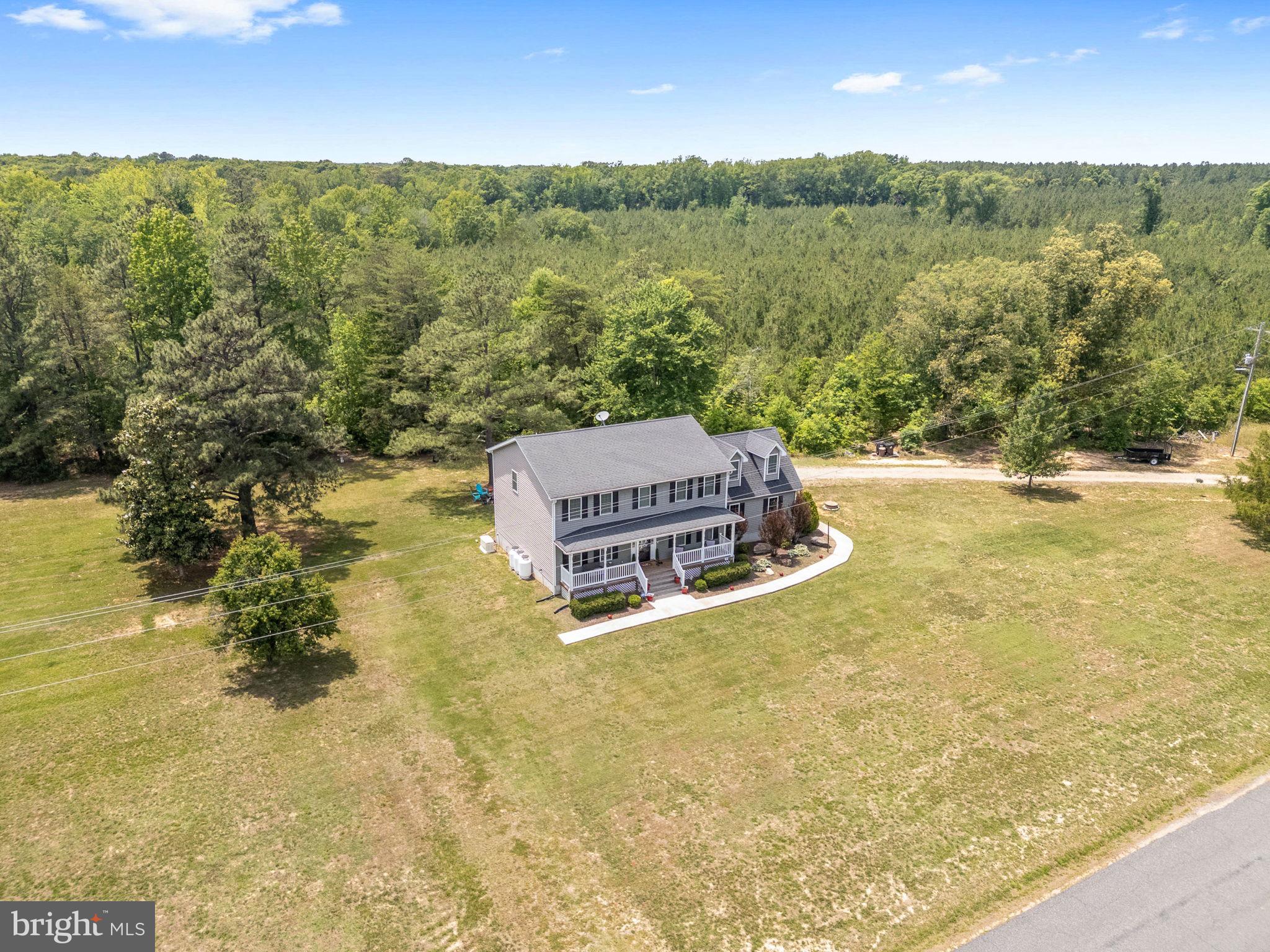 22088 Landora Bridge Road Ruther Glen, VA 22546 - Photo 9 of 122 Serene home nestled in lush greenery.
