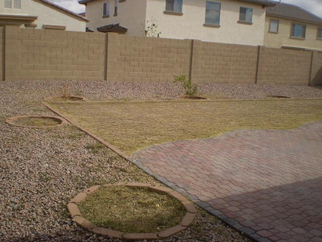 17813 North Madison Road Maricopa, AZ 85139 - Photo 2 of 7 backyard