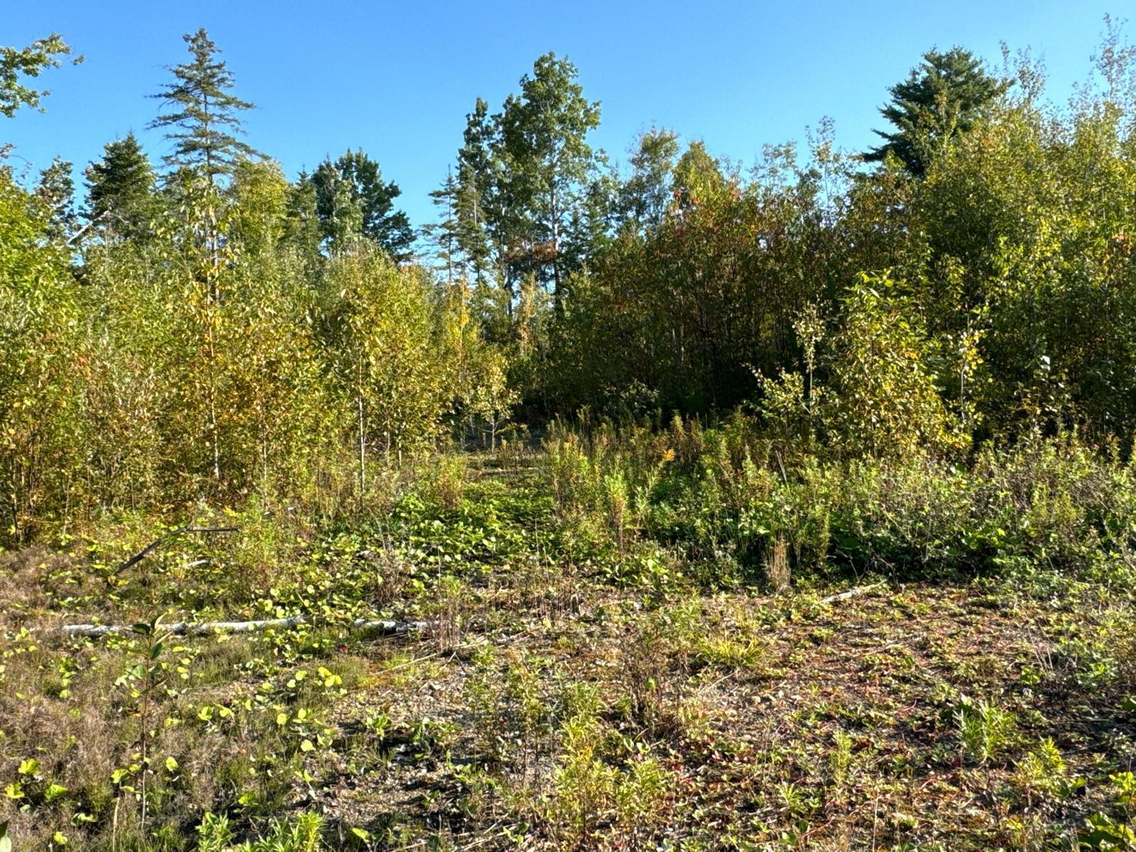 M8-l16 Grendell Road Mapleton, ME 04757 - Photo 9 of 9 Land