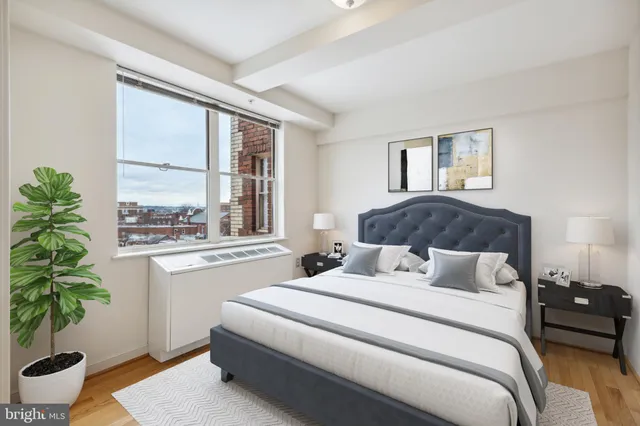 a bedroom with a large bed and a potted plant