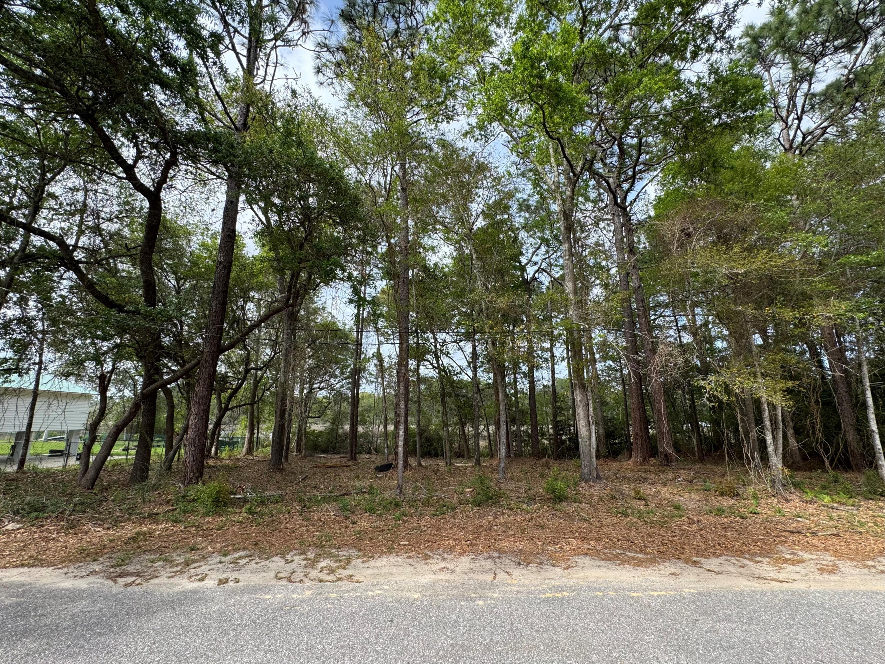 0 Ruth Court Milton, FL 32583 - Photo 3 of 9 a view of a forest with trees in the background