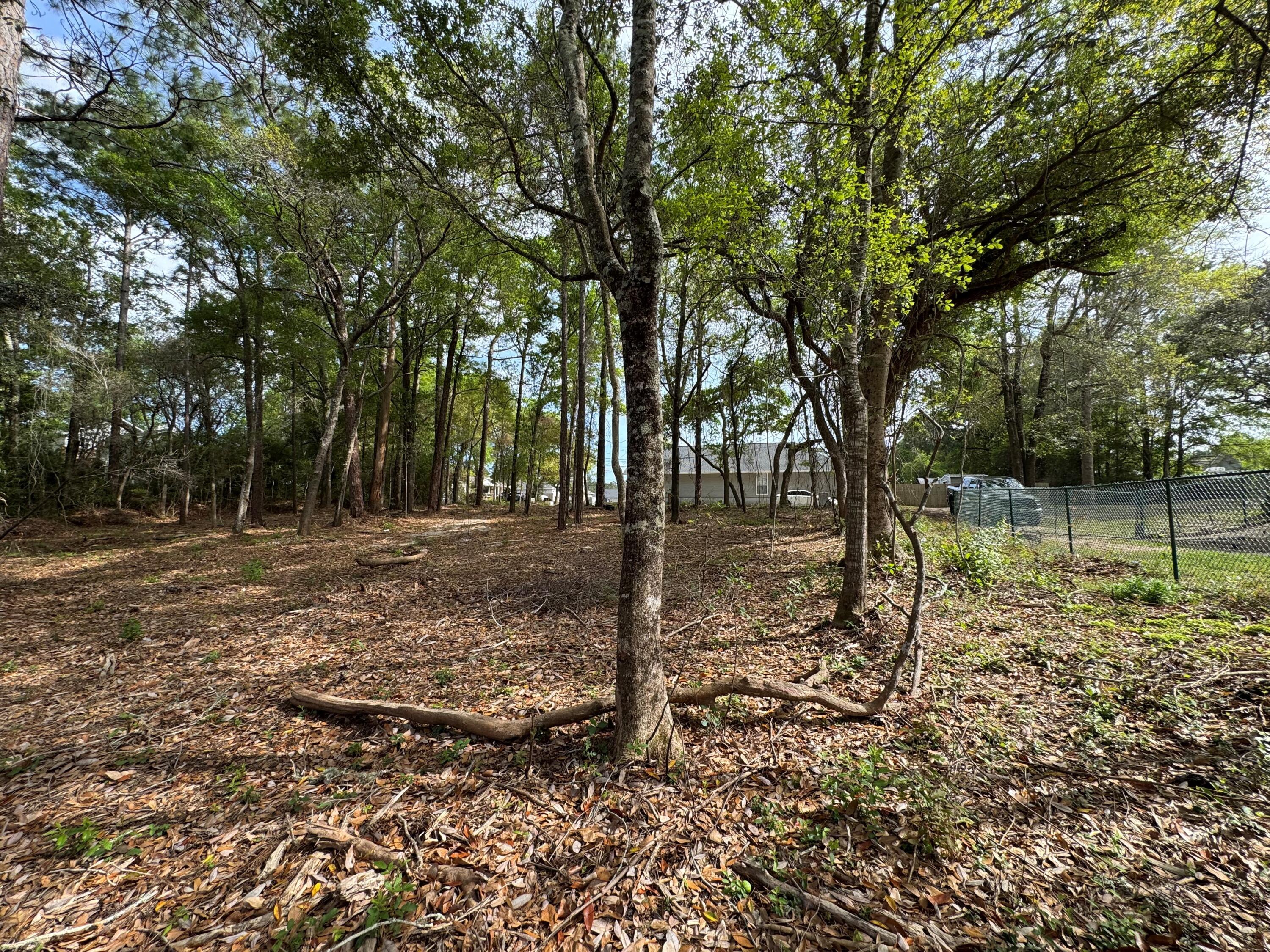 0 Ruth Court Milton, FL 32583 - Photo 4 of 9 a view of outdoor space with trees