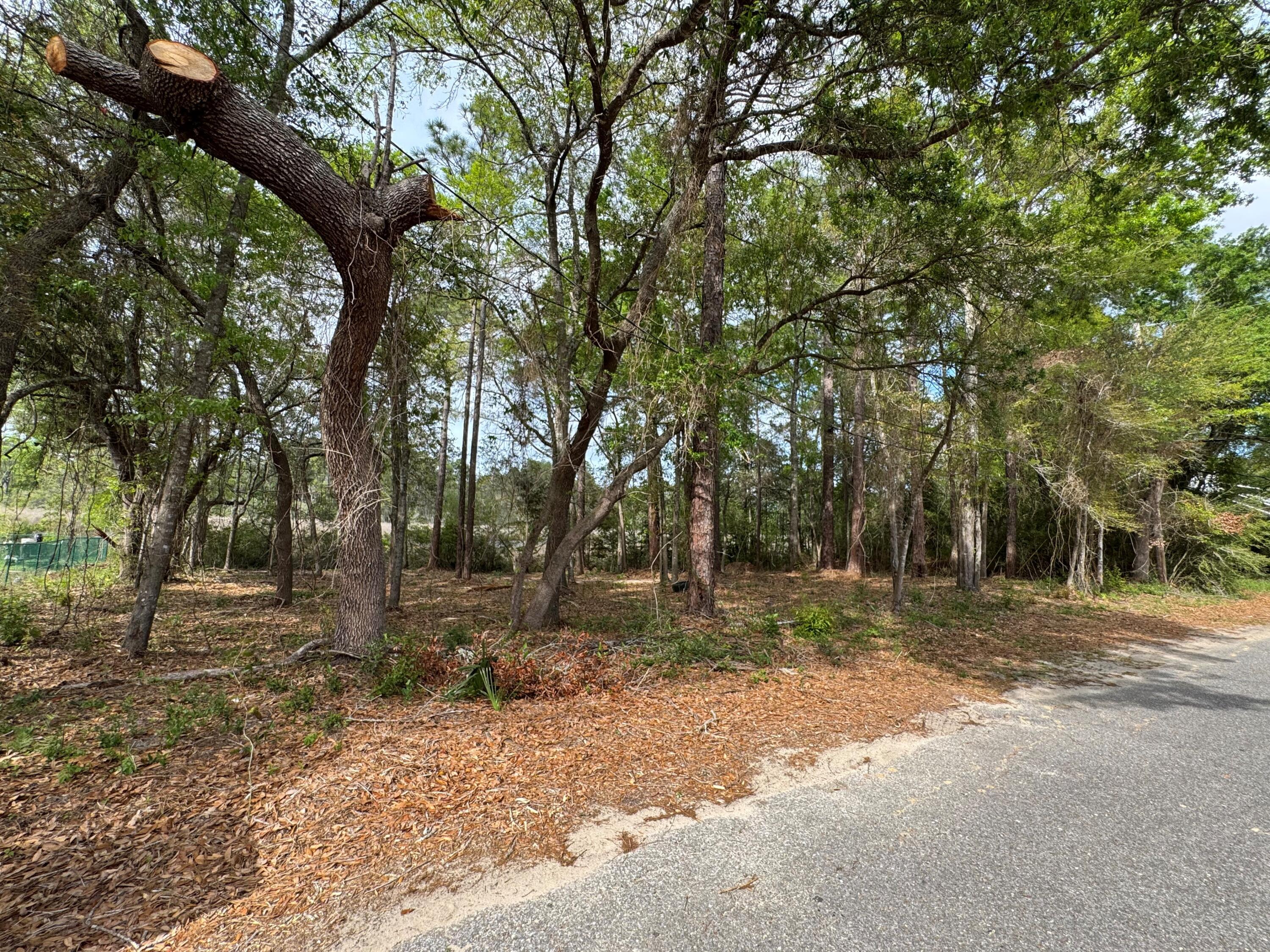 0 Ruth Court Milton, FL 32583 - Photo 6 of 9 a backyard of a house with lots of trees